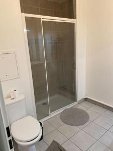 Phòng tắm tại Grand appartement entier situé à aulnay-sous-bois