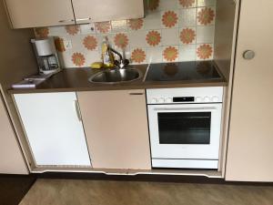 a small kitchen with a sink and a stove at Davos Swiss Alps in Davos +5 photos