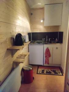 a small kitchen with a counter and a sink at Très joli Studio refait à neuf au calme in Saint-Martin-Vésubie