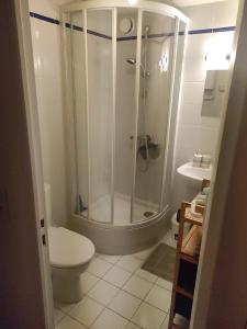 een badkamer met een douche, een toilet en een wastafel bij Très joli Studio refait à neuf au calme in Saint-Martin-Vésubie