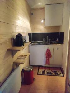 a small kitchen with a stove and a sink at Très joli Studio refait à neuf au calme in Saint-Martin-Vésubie