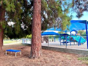 un banco azul junto a un árbol y un parque infantil en Hidden Gem LA: 2bd guesthouse w/ dreamy backyard, en Encino
