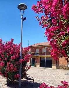 światło uliczne z różowymi kwiatami przed budynkiem w obiekcie CASA ABUELA w mieście Palacios de la Valduerna