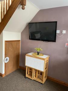 a tv on a wall with a plant on a table at Albion Cottages in Bridlington