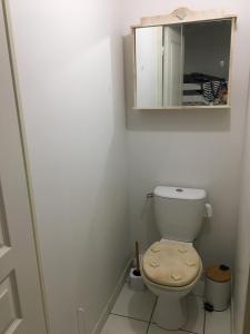 a bathroom with a toilet and a mirror at Appartement offrant une magnifique vue des montagnes in Saint-Léger-les-Mélèzes