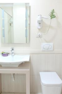 a bathroom with a sink and a mirror and a toilet at Hotel Vila Verde City Center in Tirana