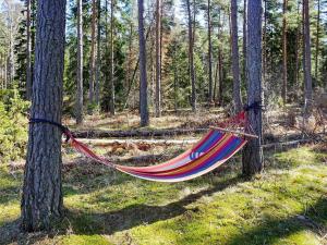 Stenkyrkaにある7 person holiday home in STENKYRKAの森の中の二本の木に掛けられたハンモック