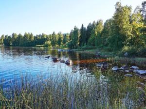 6 person holiday home in TORSBY في Överbyn: نهر فيه بعض البط في الماء