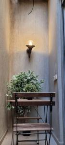 a light on a wall with a bench and a plant at funattlv in Tel Aviv