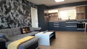 Kuchyň nebo kuchyňský kout v ubytování Vila Věkoše - apartmán s terasou a zahradou
