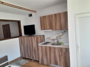 Kuchyň nebo kuchyňský kout v ubytování Apartman Gulab Krushevo