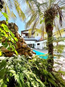 a palm tree in front of a house with a swimming pool at Linda Casa com Piscina no Jd. Acapulco-Guarujá in Guarujá