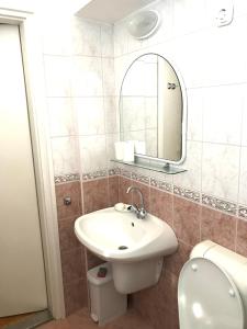 a bathroom with a sink and a toilet and a mirror at Nádaskúti ház in Csopak