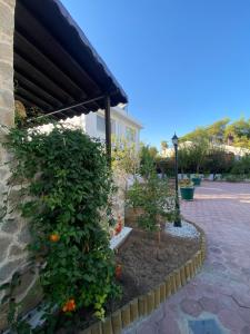 Сад в Sunside Inn Hotel