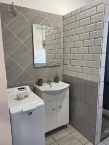 a bathroom with a sink and a mirror at Jóleső Pihenő in Inárcs