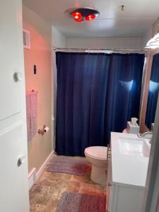 baño con aseo y cortina de ducha azul en 3 Bed, 1 Bath, Upper Flat 