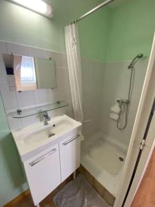 een witte badkamer met een wastafel en een douche bij Appartement 4-6 personnes calme proche centre-ville SLT in La Bourboule