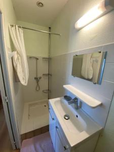 een badkamer met een wastafel en een douche bij Appartement 4-6 personnes calme proche centre-ville SLT in La Bourboule