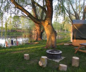 a tree with a fire pit next to a lake at Rum Bridge 'Willows' Glamping Pod in Clare