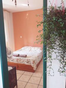 um quarto com uma cama e um vaso de plantas em Casa Relva em Lençóis