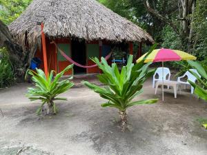 Zahrada ubytování Eco Hotel Las Palmeras