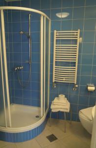 a blue tiled bathroom with a shower and a toilet at Apartment Rainbow Studio in Ljubljana