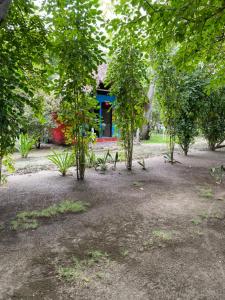 Zahrada ubytování Eco Hotel Las Palmeras
