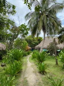 Zahrada ubytování Eco Hotel Las Palmeras