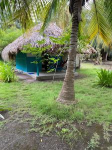 Zahrada ubytování Eco Hotel Las Palmeras