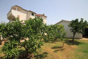 Zahrada ubytování Apartments by the sea Nevidjane, Pasman - 8273