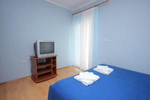 Televízia a/alebo spoločenská miestnosť v ubytovaní Apartment Vis 8531d