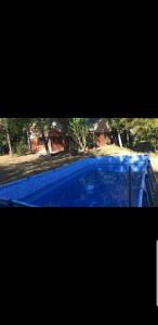 a large blue swimming pool in a yard at Pecan in Concepción del Uruguay