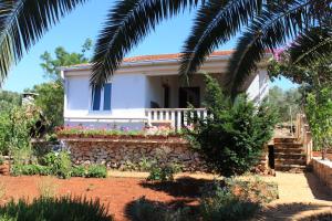a house with a palm tree in front of it at Secluded fisherman's cottage Krknata, Dugi otok - 397 in Žman