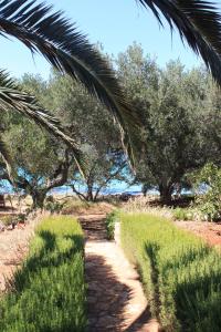 a dirt path with grass and trees on a beach at Secluded fisherman's cottage Krknata, Dugi otok - 397 in Žman