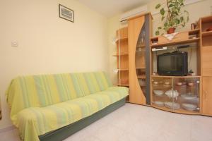 Μια τηλεόραση ή/και κέντρο ψυχαγωγίας στο Apartments by the sea Vis - 2459