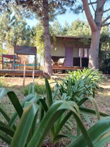 a house with a bench and a chair in a yard at la cabanita pinamar in Pinamar