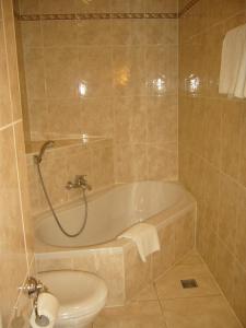 łazienka z wanną, toaletą i umywalką w obiekcie Hotel Gasthof Vogelsang w mieście Zellingen