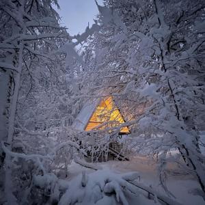 una habitación en una casa del árbol en la nieve en Casa del Árbol - Malalcahuello, en Malalcahuello