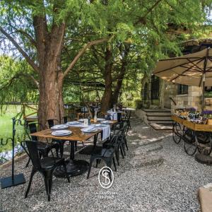 a wooden table and chairs under a tree at La Santísima Trinidad in Dolores Hidalgo