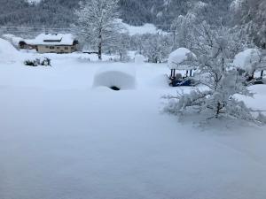 Appartements Rosenstockl talvel