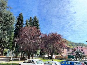 three cars parked in a parking lot with trees at Lo Studio in Millesimo