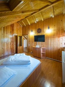 a large bedroom with a bed and a television at Pensiunea Eric in Curtea de Argeş