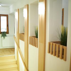 a hallway with potted plants on the walls at Klaudia Vendégház in Mórahalom