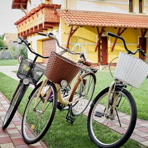 dos bicicletas estacionadas en el césped frente a una casa en Klaudia Vendégház, en Mórahalom