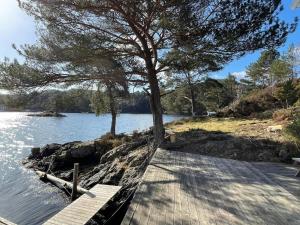 a tree on a dock next to a body of water at 6 person holiday home in Rubbestadneset in Rubbestadneset