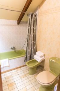 a bathroom with a green toilet and a shower at Le Freudeneck in Wangenbourg