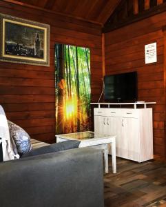 ein Wohnzimmer mit einem Sofa und einem TV in der Unterkunft Cabañas De Madera Y Bungalows - Gilmañas 3 in La Iruela