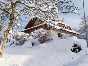 a house covered in snow with trees and bushes at Ferienwohnung Böllatblick in Balingen