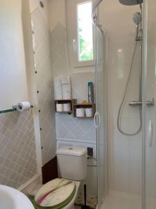 ein kleines Bad mit einem WC und einer Dusche in der Unterkunft Studio en duplex indépendant in Brignoles
