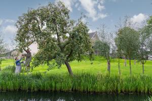 two people standing in the grass next to a tree at Vrijstaand huisje, dichtbij Kinderdijk in Oud-Alblas